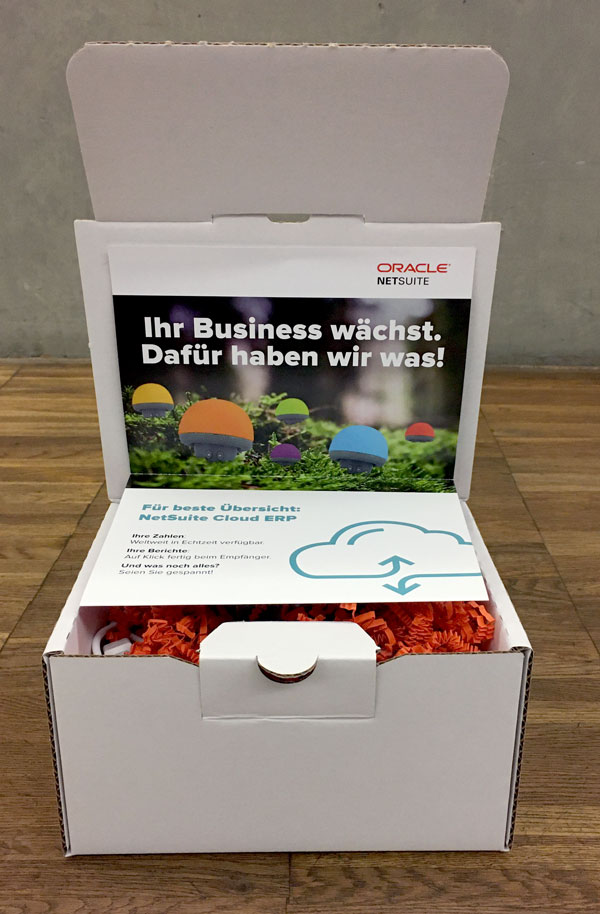 Gesamtpaket Projekt Akquisemailing | Oracle NetSuite